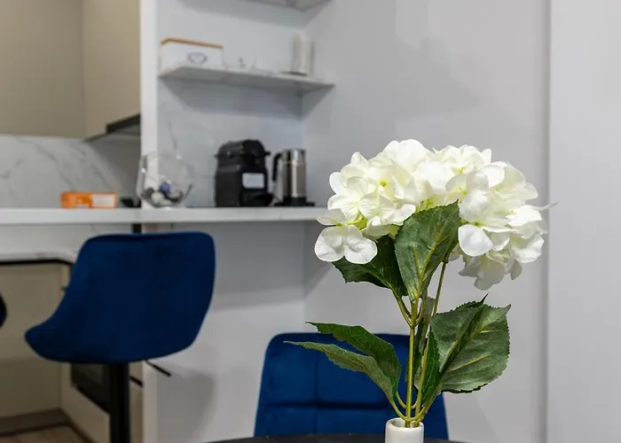 Gpm And Apartman Kolozsvár